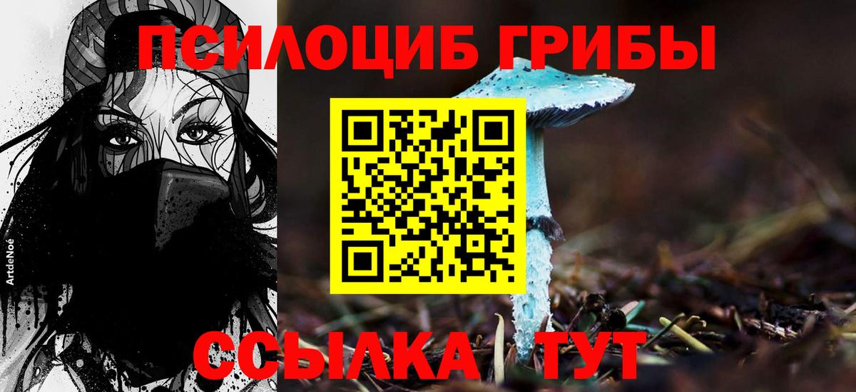 Псилоцибиновые грибы Cubensis Калуга